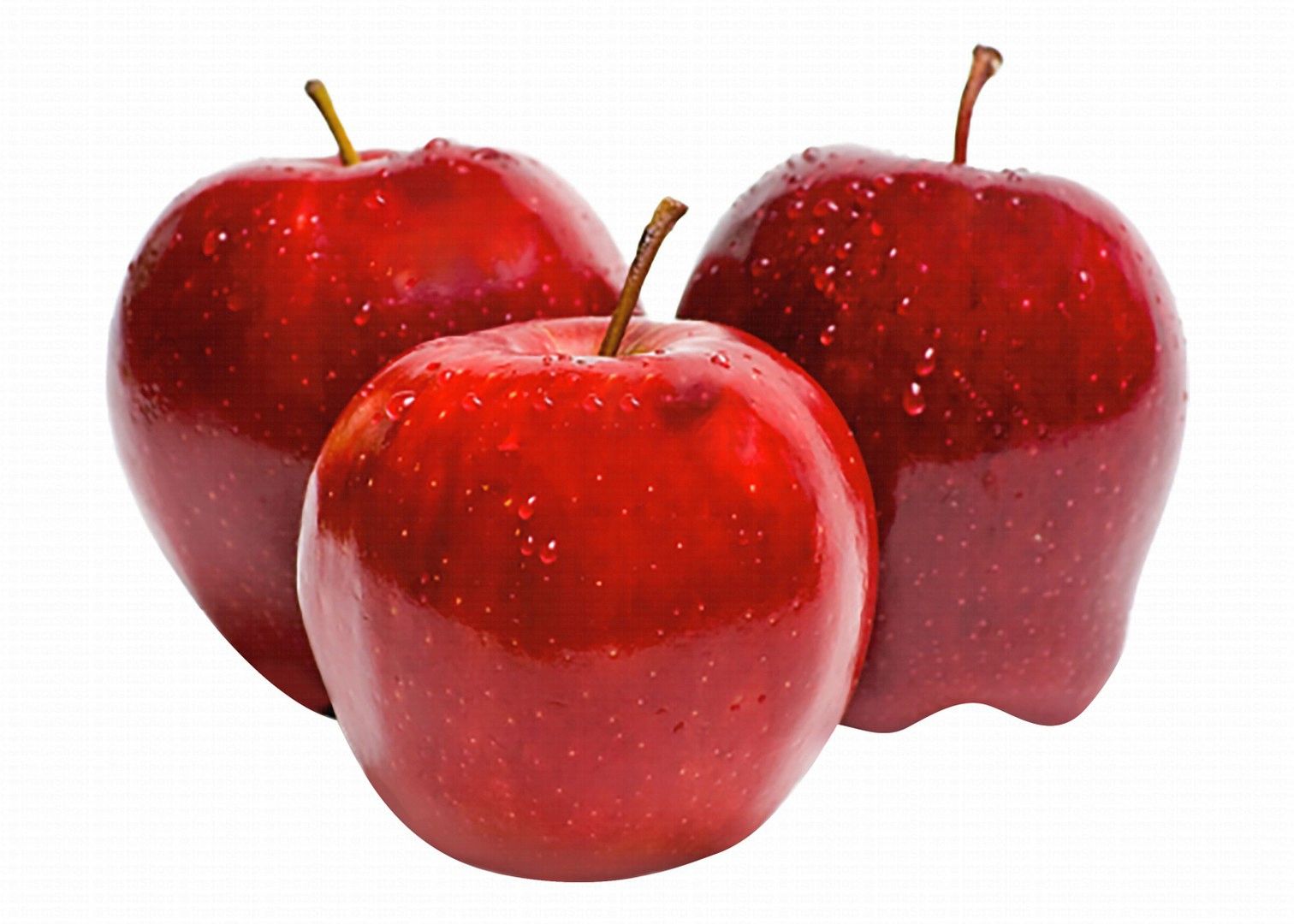 w-83fcc344-16e9-4f59-b5bf-cb160f1a78b733664e9bfdd7311d348247588456b670_5eprSYoAqB_-_remove_shadow